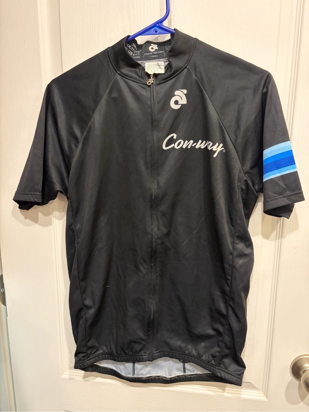 Champion Black Cycling Jersey with Blue Stripe Sleeve